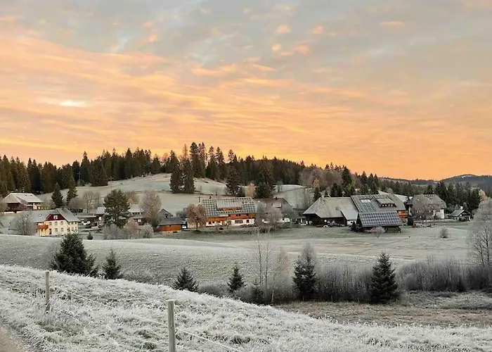 Helle Gemuetliche Ferienwohnung In Schwarzwaldhof