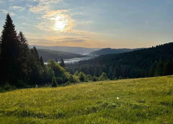 Helle Gemuetliche Ferienwohnung In Schwarzwaldhof