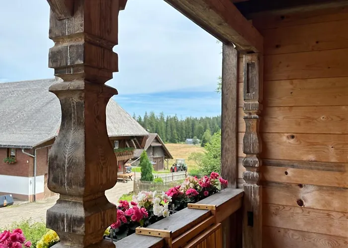 Helle Gemuetliche Ferienwohnung In Schwarzwaldhof