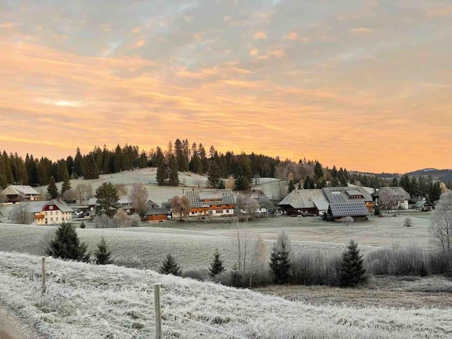 Helle Gemuetliche In Schwarzwaldhof Ibach