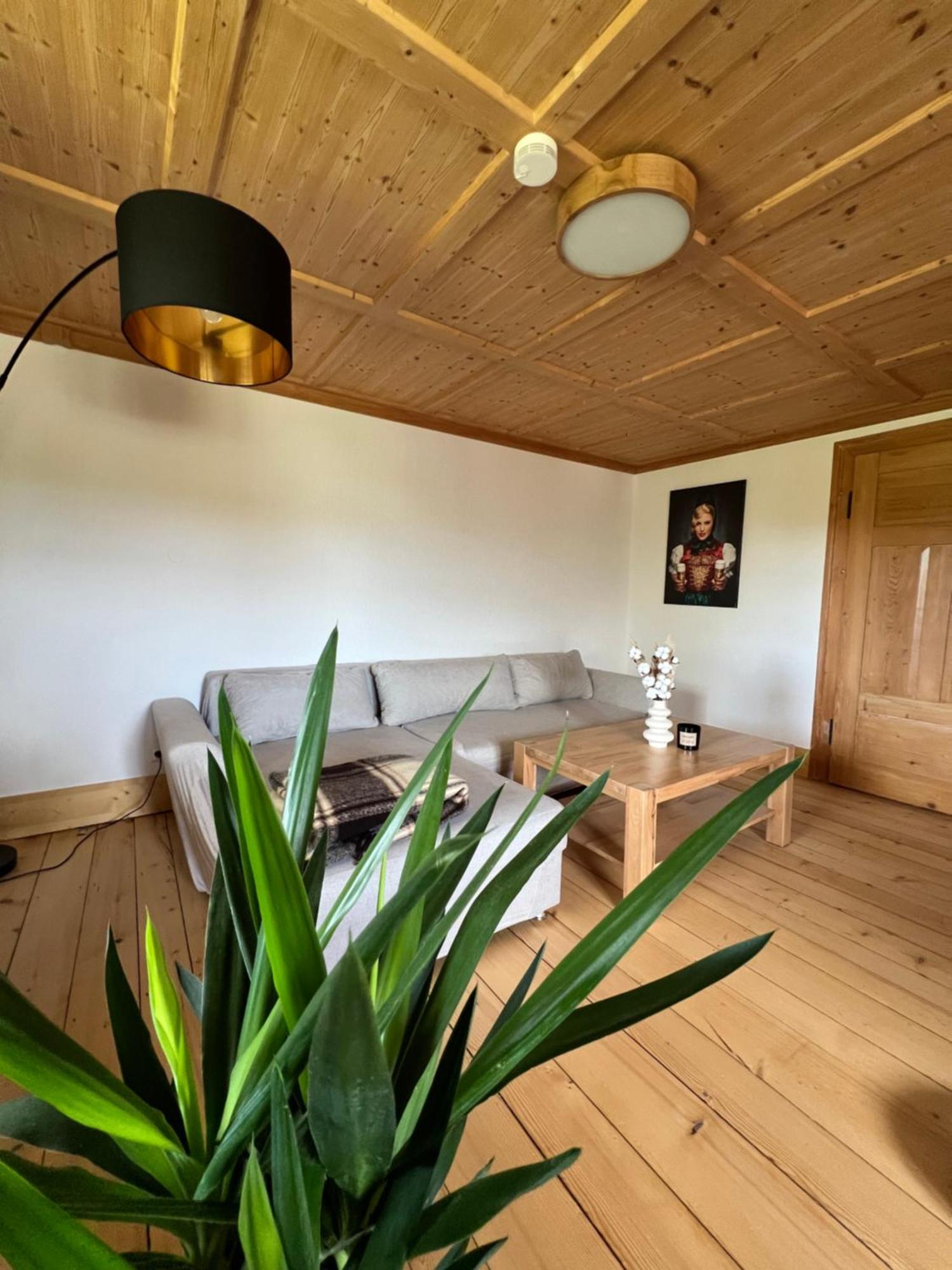Apartment Helle Gemuetliche In Schwarzwaldhof Ibach