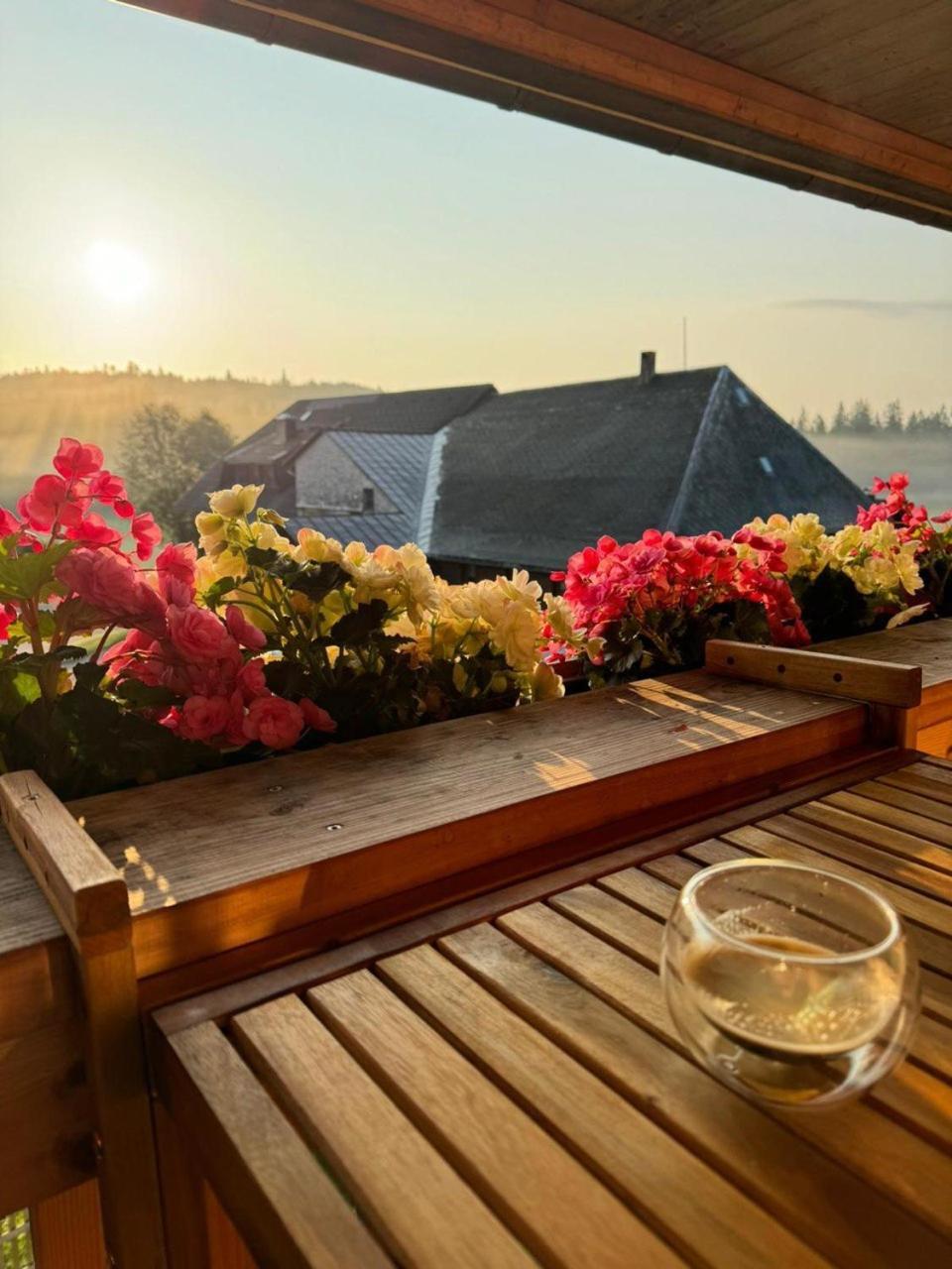 Helle Gemuetliche In Schwarzwaldhof Appartement *