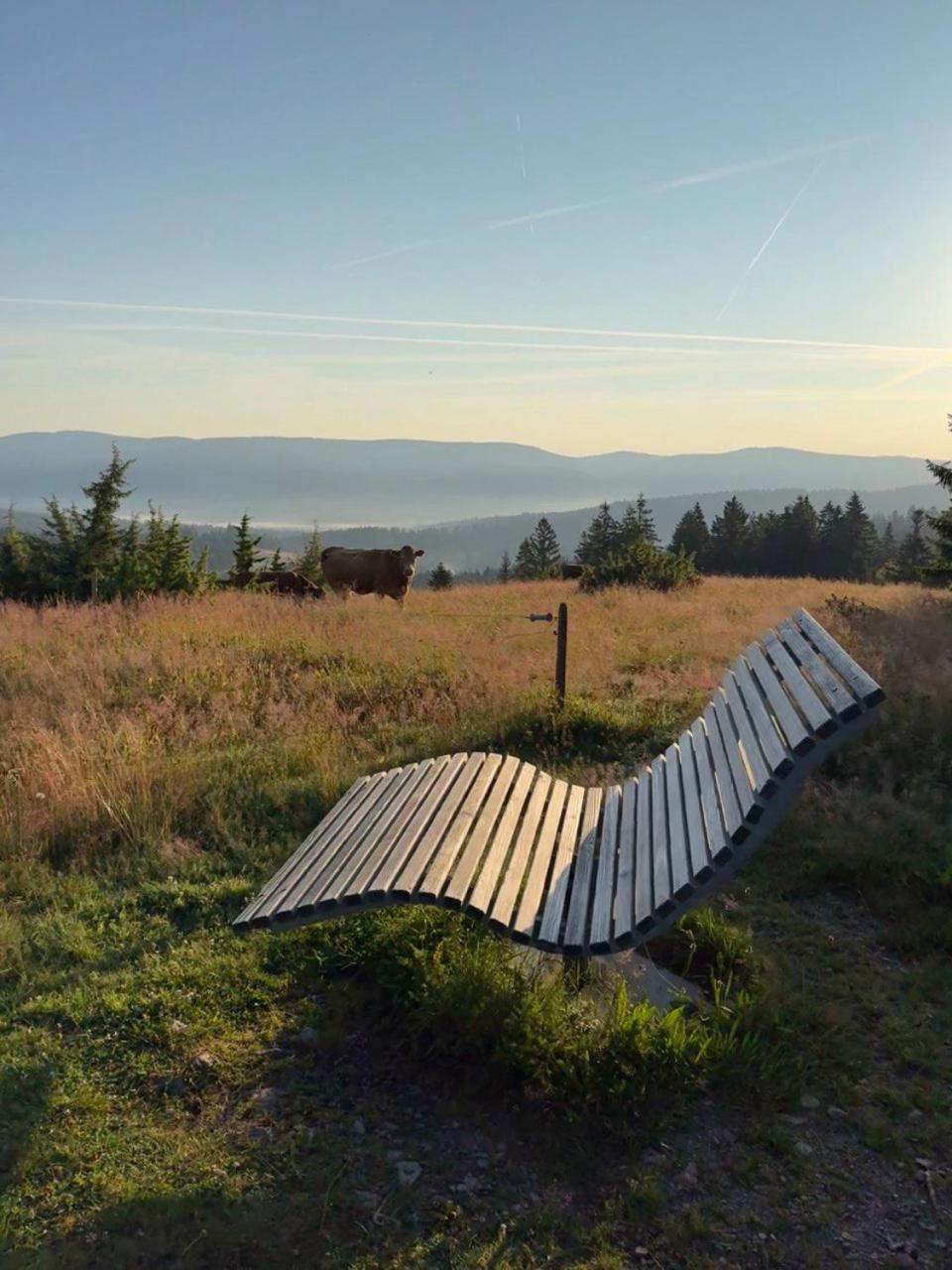 Helle Gemuetliche In Schwarzwaldhof *